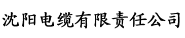 大香蕉成人在线网站电缆厂logo